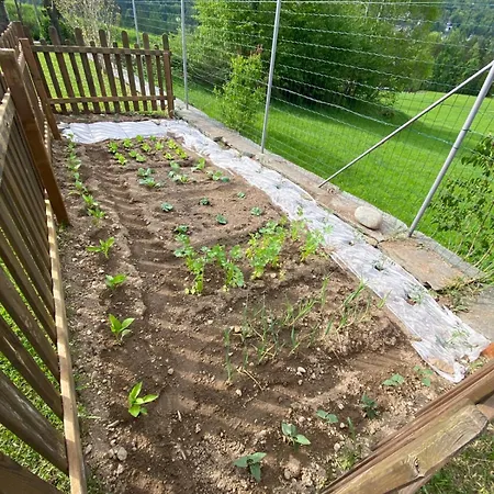 Daire Domus Mea Druogno